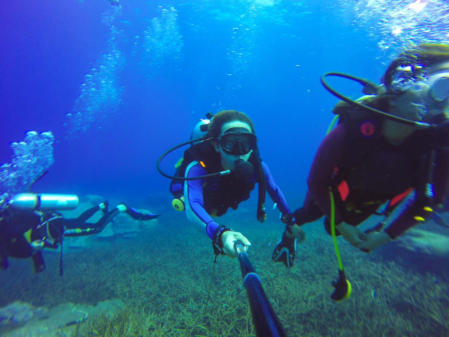 Algunos de los peces más espectaculares que puedes encontrar buceando en el Mediterráneo